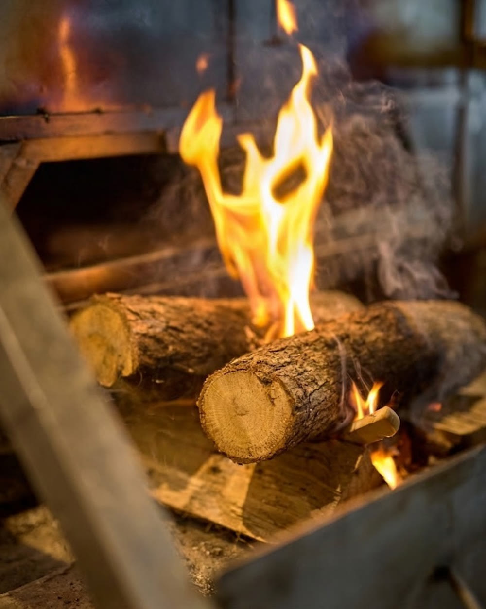 Oak logs burning with a tall flame